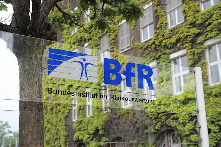 BfR 3